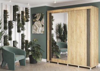 Шкаф-купе 2000 мм Форест крафт золотой(Стиль) в Нижних Сергах - nizhnie-sergi.mebel-e96.ru