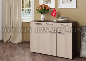 Комод Стандарт 4 NEW (БТС) в Нижних Сергах - nizhnie-sergi.mebel-e96.ru