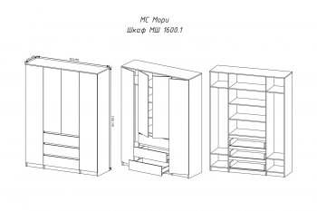 Шкаф распашной Мори 1600 мм графит (ДСВ) в Нижних Сергах - nizhnie-sergi.mebel-e96.ru