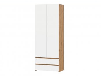Стол компьютерный Некст-1 + Шкаф (СВ) в Нижних Сергах - nizhnie-sergi.mebel-e96.ru