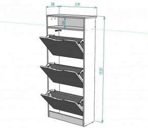 Обувница W10 (ДСС-Белый) в Нижних Сергах - nizhnie-sergi.mebel-e96.ru