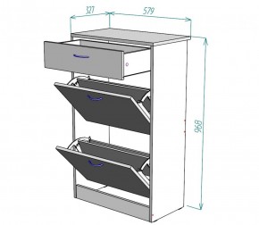 Обувница W21 (ДМ) в Нижних Сергах - nizhnie-sergi.mebel-e96.ru