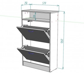 Обувница W5 (Белый) в Нижних Сергах - nizhnie-sergi.mebel-e96.ru