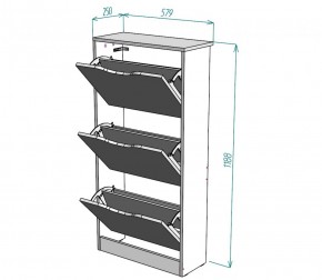 Обувница W8 (Белый) в Нижних Сергах - nizhnie-sergi.mebel-e96.ru