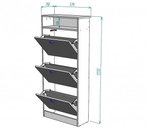 Обувница W9 (Белый) в Нижних Сергах - nizhnie-sergi.mebel-e96.ru