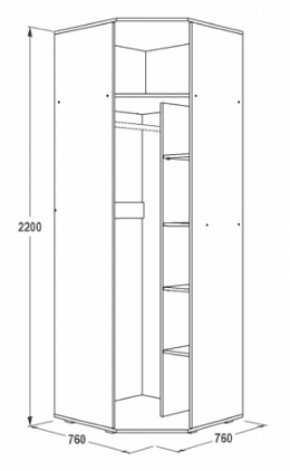 Шкаф 1-но дверный угловой Ольга-14 (760*760) в Нижних Сергах - nizhnie-sergi.mebel-e96.ru