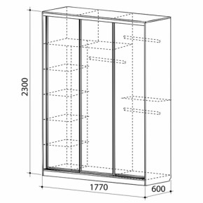 Шкаф-купе Бассо 1-600 (полки слева) в Нижних Сергах - nizhnie-sergi.mebel-e96.ru