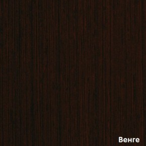 Шкаф-купе Бассо 7-600 07 (полки слева) в Нижних Сергах - nizhnie-sergi.mebel-e96.ru