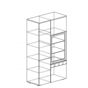 Шкаф многоцелевой Дели 62 (Яна) в Нижних Сергах - nizhnie-sergi.mebel-e96.ru