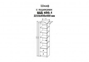 Шкаф-пенал KI-KI 450 мм, ШД450.1 (ДСВ) в Нижних Сергах - nizhnie-sergi.mebel-e96.ru