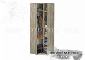 Шкаф угловой ШК-21 Наоми (БТС) в Нижних Сергах - nizhnie-sergi.mebel-e96.ru