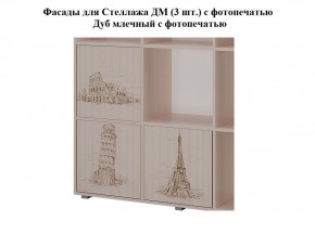 Стеллаж ДМ (ТМК) в Нижних Сергах - nizhnie-sergi.mebel-e96.ru