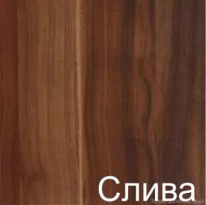 Стол-книжка (1-65) (ГК) в Нижних Сергах - nizhnie-sergi.mebel-e96.ru