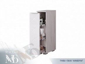 Тумба узкая ТБ-21 Кимберли (БТС) в Нижних Сергах - nizhnie-sergi.mebel-e96.ru